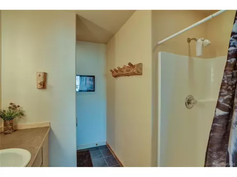 3087 Singletree Rd, Hartsel, CO 80449 photo 34
