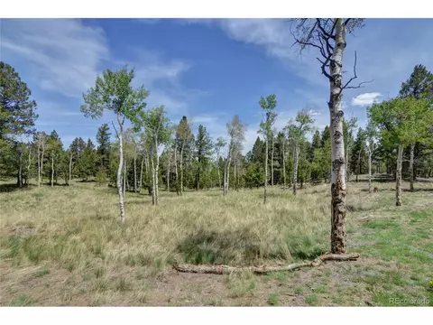 3087 Singletree Rd, Hartsel, CO 80449 photo 39