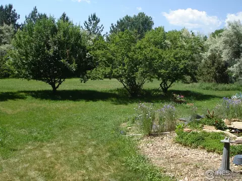 2260 Linden Ave, Boulder, CO 80304 photo 9