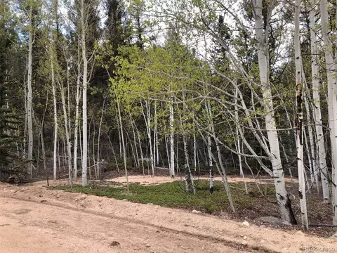 649 Chippewa Rd, Como, CO 80432 photo 10