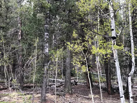 649 Chippewa Rd, Como, CO 80432 photo 9