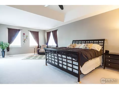2645 E 141st Pl, Thornton, CO 80602 photo 18