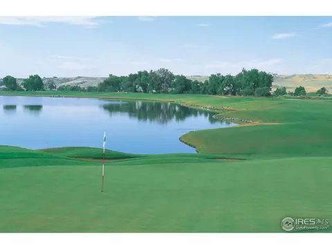 2079 Vineyard Dr, Windsor, CO 80550 photo 19