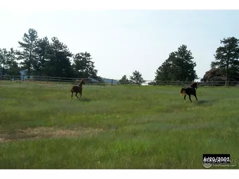 1612 Spring Gulch Dr, Lyons, CO 80540 photo 6