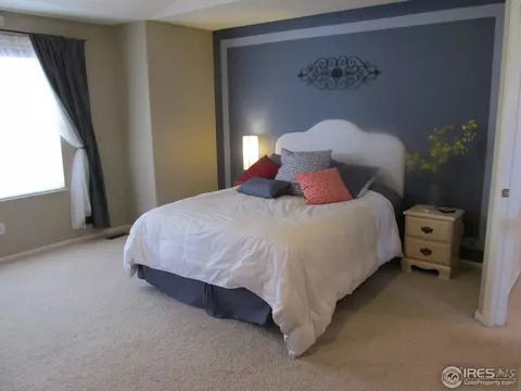 104 Whitney Ct, Windsor, CO 80550 photo 9