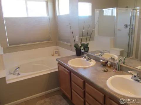 104 Whitney Ct, Windsor, CO 80550 photo 10