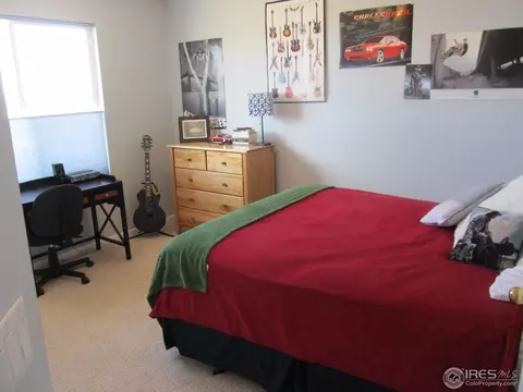 104 Whitney Ct, Windsor, CO 80550 photo 12