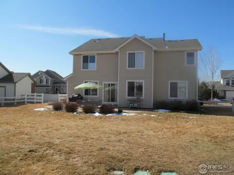 104 Whitney Ct, Windsor, CO 80550 photo 15
