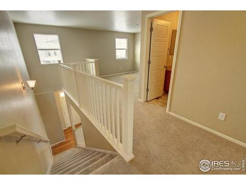 2005 Seapines Ct, Windsor, CO 80550 photo 17