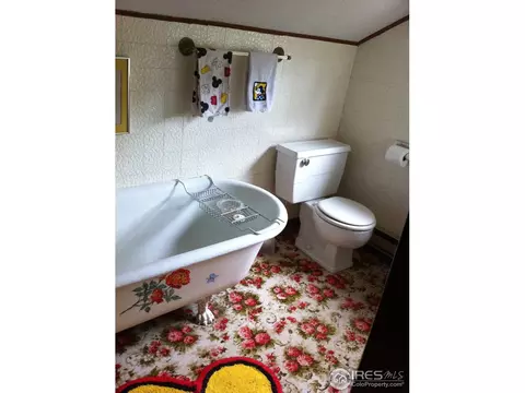 701 Saint Vrain Rd, Lyons, CO 80540 photo 22