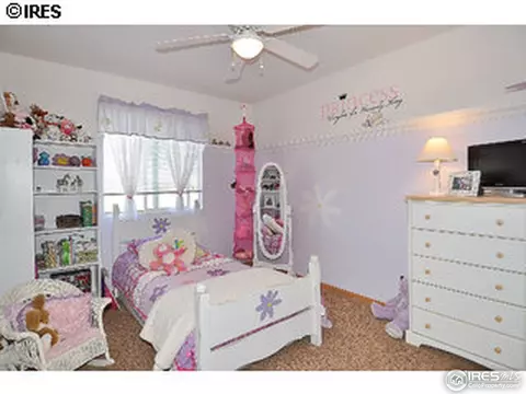 963 Durum Ct, Windsor, CO 80550 photo 9