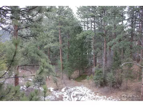 211 Pinewood Dr, Lyons, CO 80540 photo 15