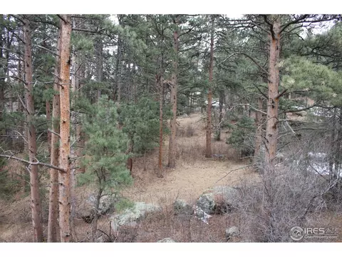 211 Pinewood Dr, Lyons, CO 80540 photo 22