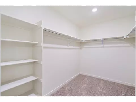 906 London Way, Severance, CO 80550 photo 22