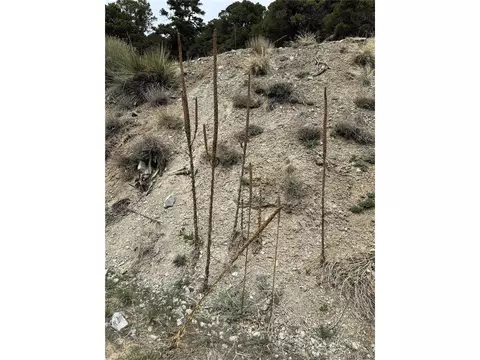 Knotty Pine Rd, Howard, CO 81233 photo 14