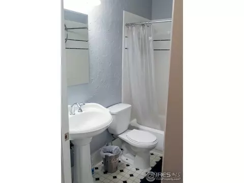 417 Walnut St, Windsor, CO 80550 photo 23