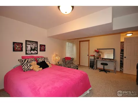 566 Arrow Ct, Windsor, CO 80550 photo 21