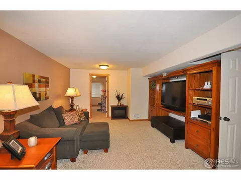 566 Arrow Ct, Windsor, CO 80550 photo 19