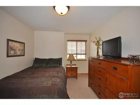 566 Arrow Ct, Windsor, CO 80550 photo 11