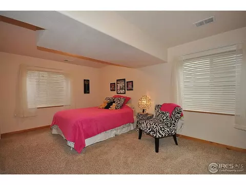 566 Arrow Ct, Windsor, CO 80550 photo 22