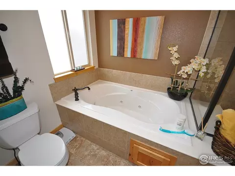 566 Arrow Ct, Windsor, CO 80550 photo 9