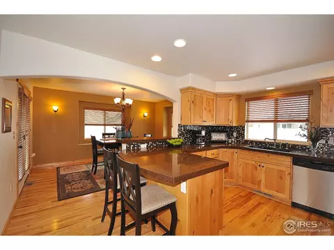 566 Arrow Ct, Windsor, CO 80550 photo 16