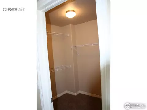 7406 Thistle Down Dr, Windsor, CO 80550 photo 15