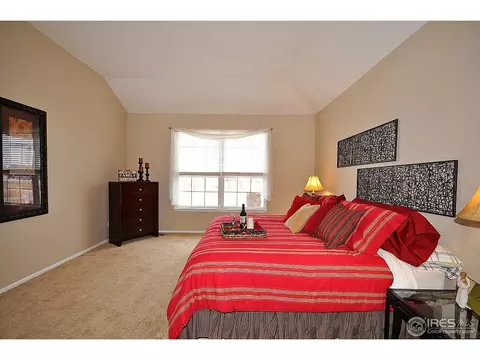 213 Cattail Bay, Windsor, CO 80550 photo 13