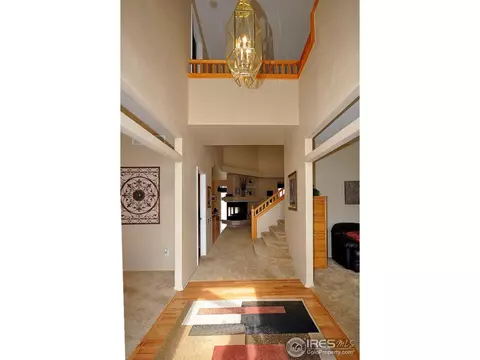 213 Cattail Bay, Windsor, CO 80550 photo 4