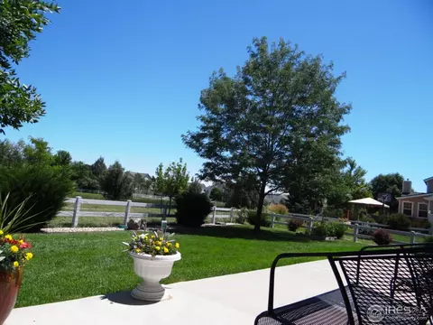 213 Cattail Bay, Windsor, CO 80550 photo 23
