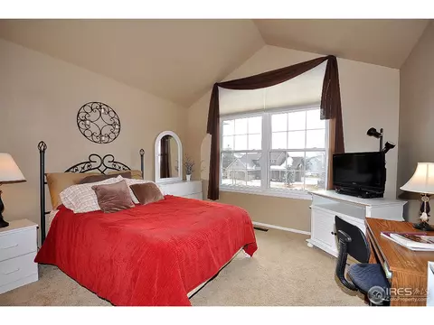 213 Cattail Bay, Windsor, CO 80550 photo 17