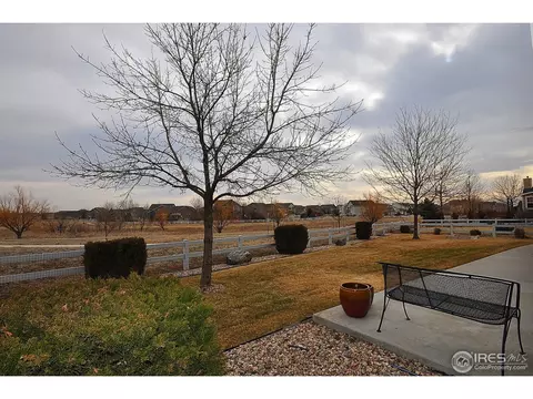 213 Cattail Bay, Windsor, CO 80550 photo 22