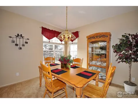 213 Cattail Bay, Windsor, CO 80550 photo 11