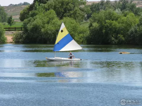 213 Cattail Bay, Windsor, CO 80550 photo 25