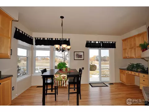 213 Cattail Bay, Windsor, CO 80550 photo 10