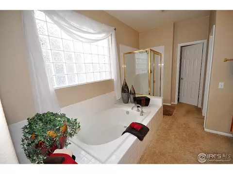 213 Cattail Bay, Windsor, CO 80550 photo 14