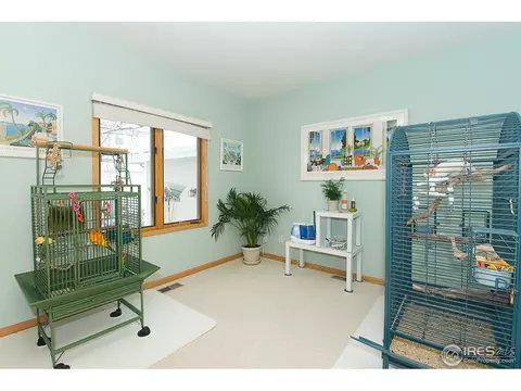 5441 Hunter Dr, Windsor, CO 80528 photo 13
