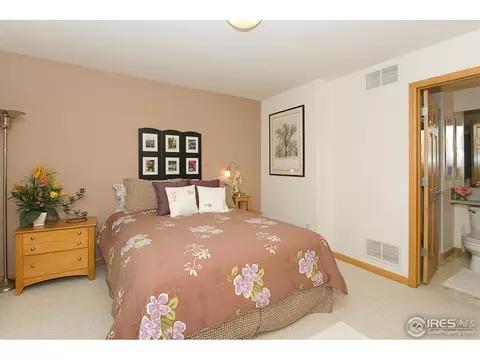 5441 Hunter Dr, Windsor, CO 80528 photo 23