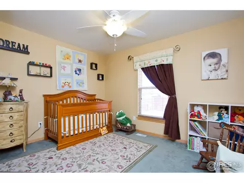 347 Marble Ln, Johnstown, CO 80534 photo 18