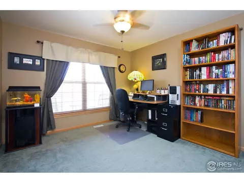 347 Marble Ln, Johnstown, CO 80534 photo 19
