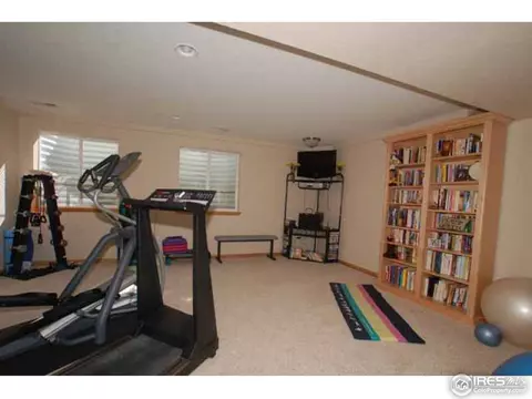 8336 Annapolis Dr, Windsor, CO 80528 photo 19