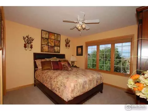 8336 Annapolis Dr, Windsor, CO 80528 photo 13