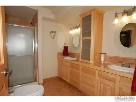 8336 Annapolis Dr, Windsor, CO 80528 photo 18