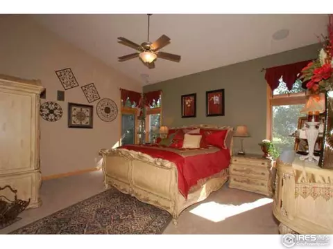 8336 Annapolis Dr, Windsor, CO 80528 photo 11