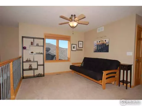 8336 Annapolis Dr, Windsor, CO 80528 photo 16
