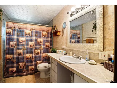 147 N Empire Rd, Empire, CO 80438 photo 27