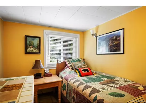 147 N Empire Rd, Empire, CO 80438 photo 28
