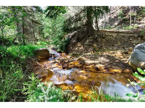 147 N Empire Rd, Empire, CO 80438 photo 33