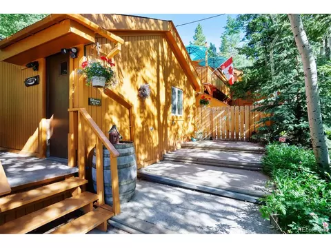147 N Empire Rd, Empire, CO 80438 photo 21