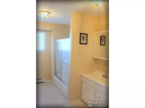 321 Grant Ave, Firestone, CO 80520 photo 13